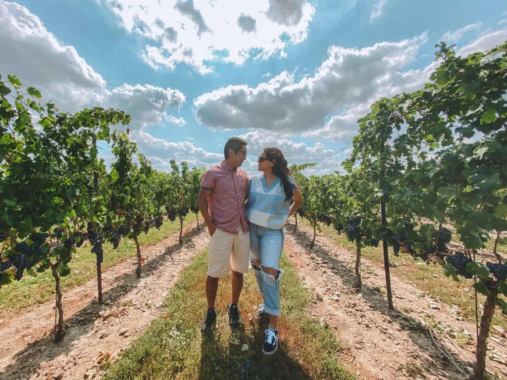 peller estates winery